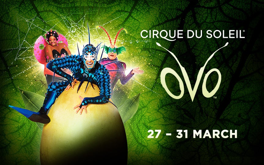 Cirque Du Soleil: OVO